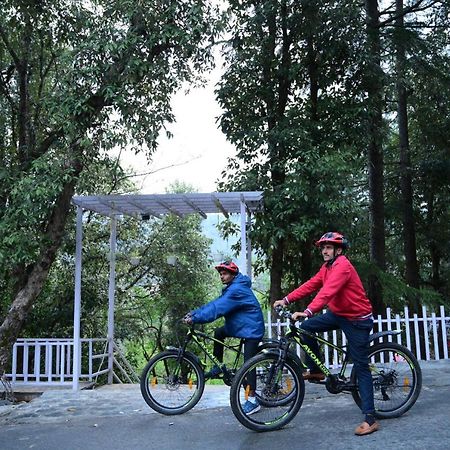 Aamod At Shoghi Luxury Cottage Resort Shimla Ngoại thất bức ảnh