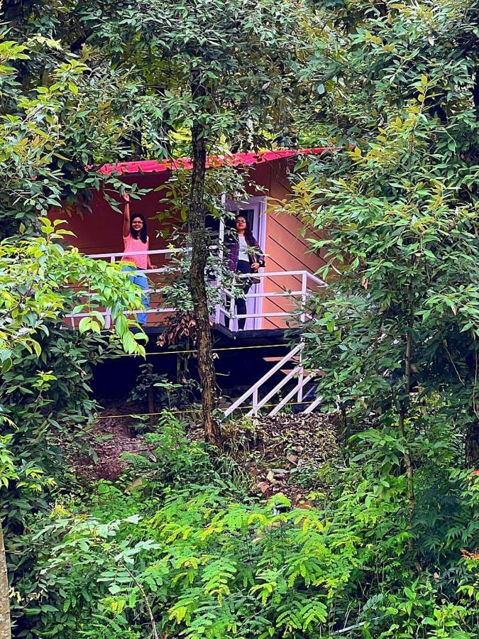 Aamod At Shoghi Luxury Cottage Resort Shimla Ngoại thất bức ảnh