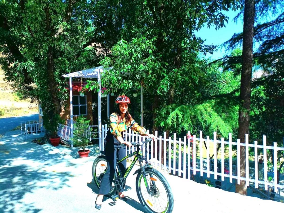 Aamod At Shoghi Luxury Cottage Resort Shimla Ngoại thất bức ảnh