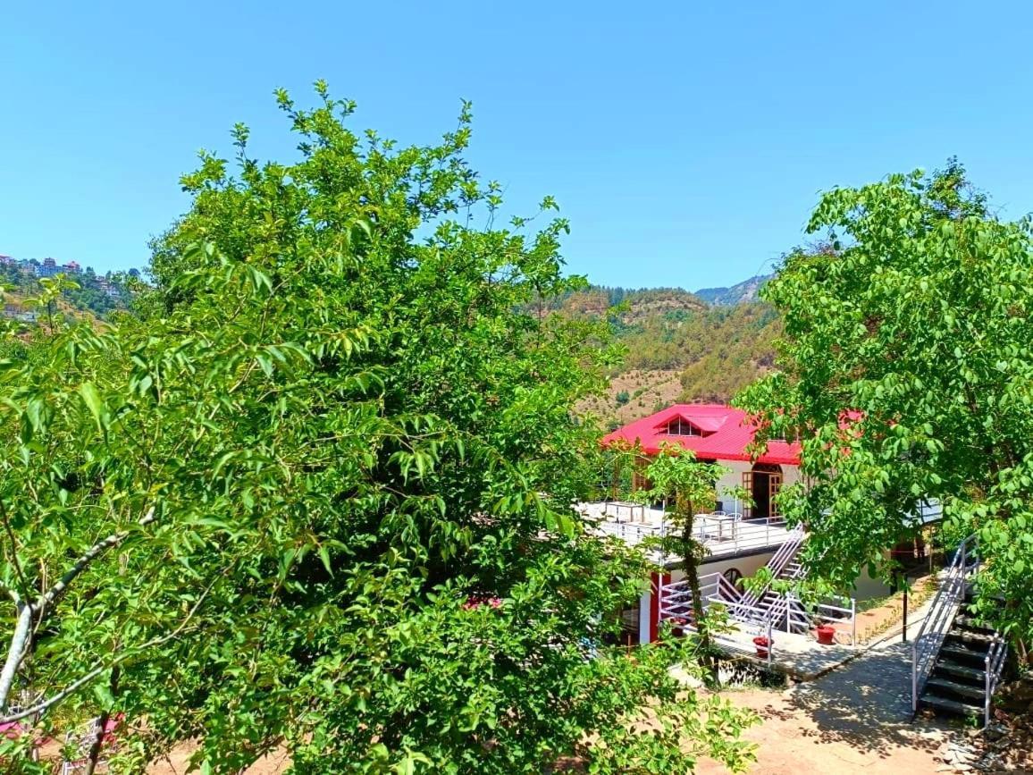 Aamod At Shoghi Luxury Cottage Resort Shimla Ngoại thất bức ảnh
