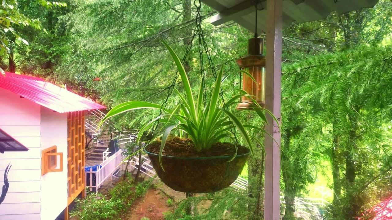 Aamod At Shoghi Luxury Cottage Resort Shimla Ngoại thất bức ảnh