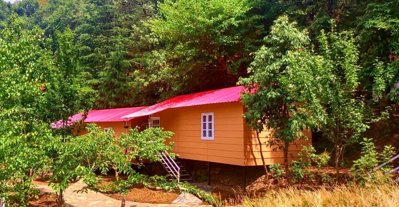 Aamod At Shoghi Luxury Cottage Resort Shimla Ngoại thất bức ảnh