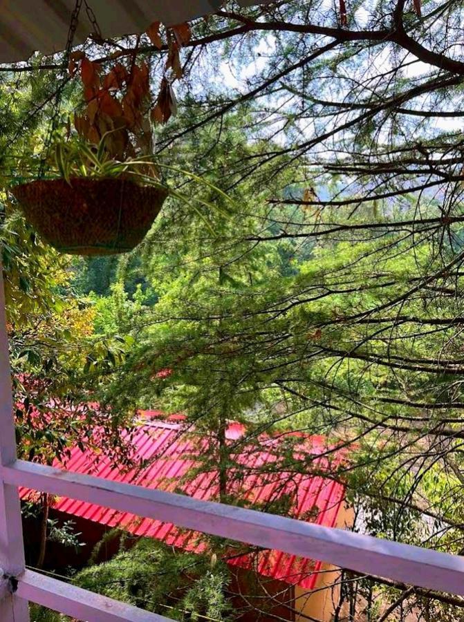 Aamod At Shoghi Luxury Cottage Resort Shimla Ngoại thất bức ảnh