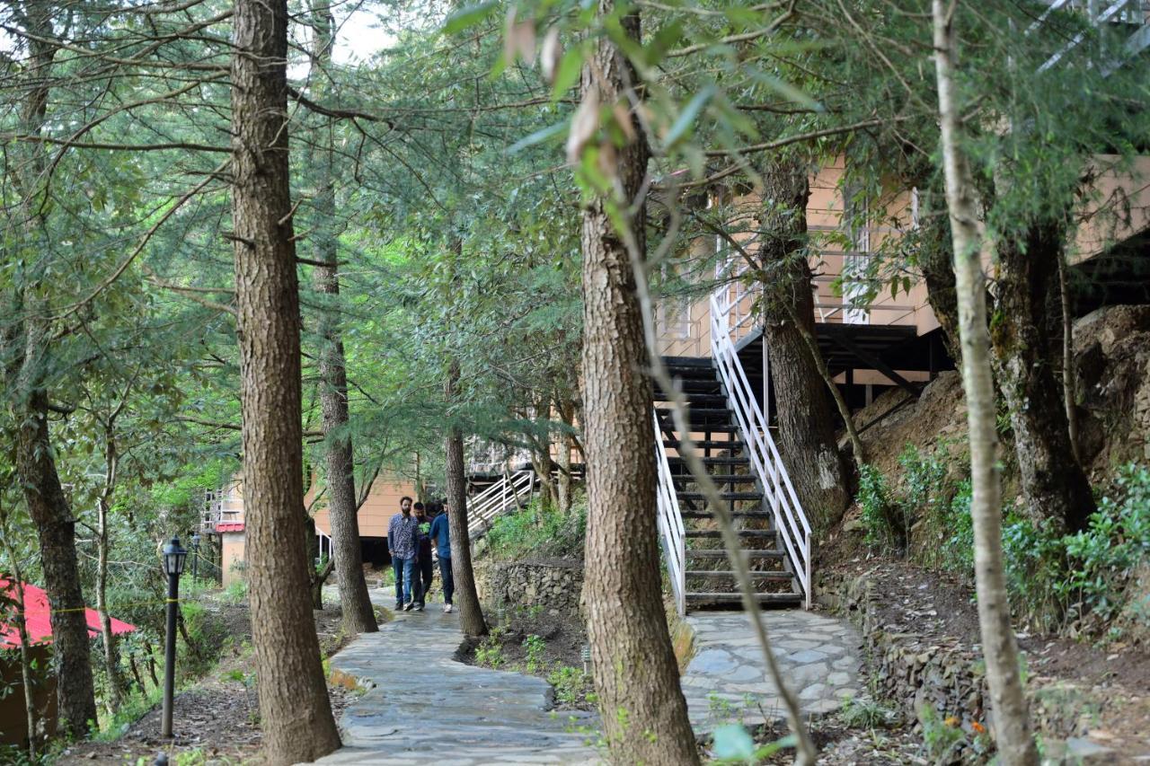 Aamod At Shoghi Luxury Cottage Resort Shimla Ngoại thất bức ảnh