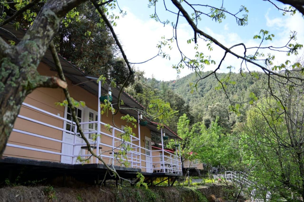 Aamod At Shoghi Luxury Cottage Resort Shimla Ngoại thất bức ảnh