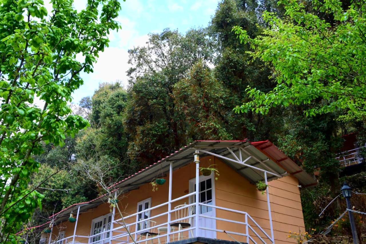 Aamod At Shoghi Luxury Cottage Resort Shimla Ngoại thất bức ảnh